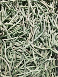 Full frame shot of onions