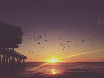 Flock of birds flying over sea against sky during sunset