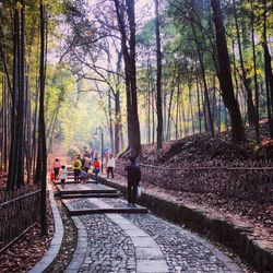 People walking on footpath