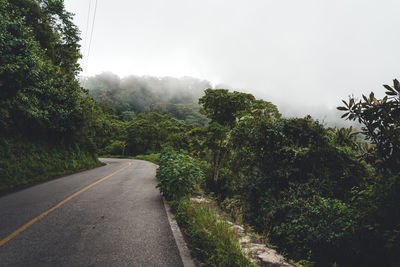 Road by trees against sky