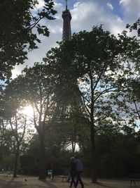 Silhouette of trees against sky