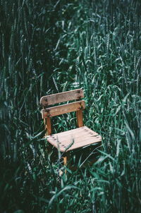 Empty bench in field