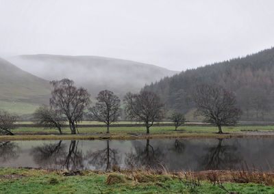 Scenic view of lake by trees against sky