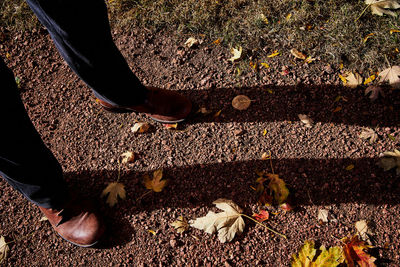 Low section of person standing on land