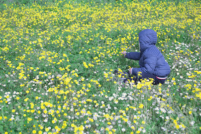 Low section of person on yellow flowering plants on field