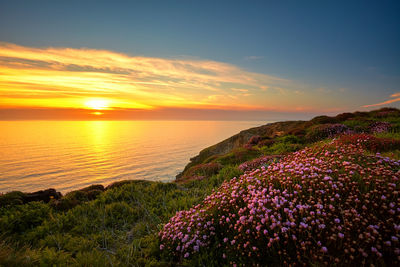 Scenic view of sea against sky during sunset