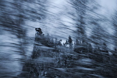 Blurred motion of horse