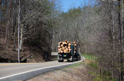 Truck on country road along bare trees