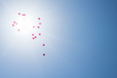 Low angle view of helium balloons against sky