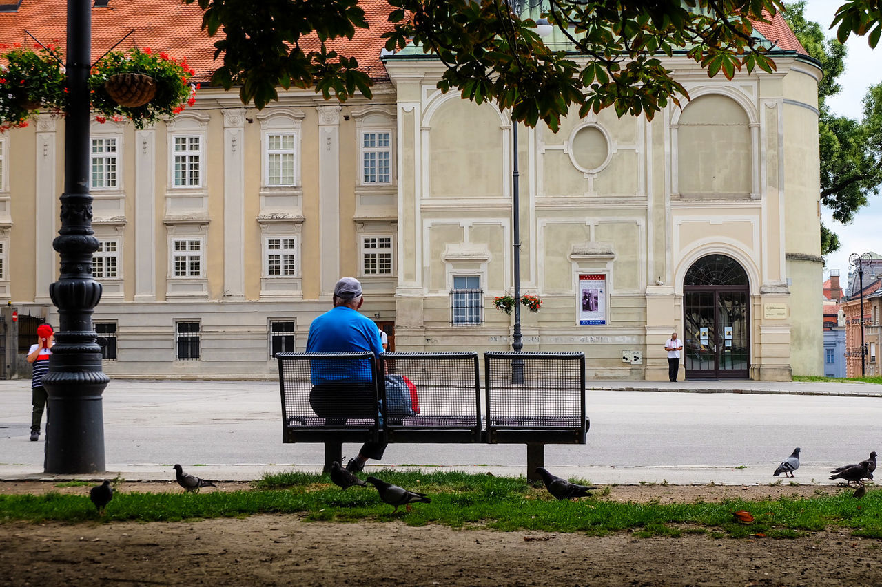 building exterior, architecture, full length, built structure, rear view, city, plant, men, one person, tree, day, real people, street, building, bench, walking, nature, outdoors, lifestyles, uniform