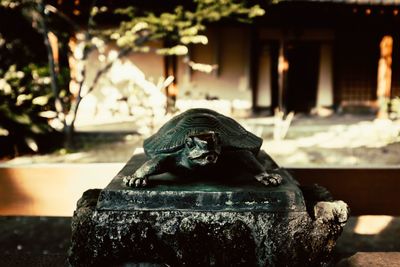 Close-up of a statue against building