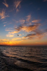 Bird flying over sea against sunset sky
