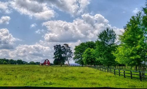 Panoramic shot of trees on field against sky