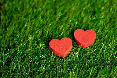 Close-up of heart shape on grass