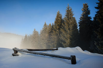 Snow covered field by trees against sky