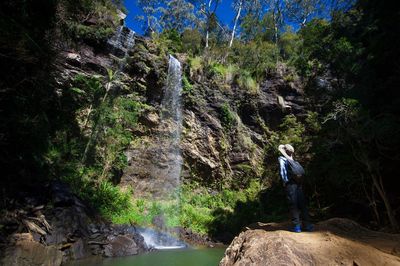 Scenic view of waterfall in forest