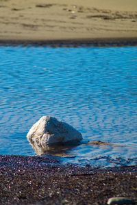 Surface level of a rock