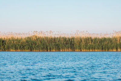 Scenic view of lake against clear sky