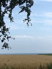 Scenic view of field against sky