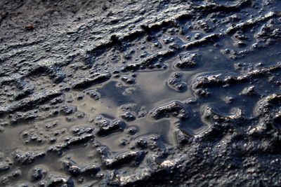 Full frame shot of wet road