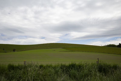 Scenic view of grassy field against sky