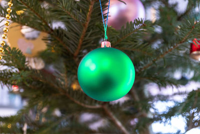 Close-up of christmas decoration hanging on tree