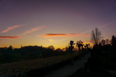 Silhouette trees on field against sky during sunset