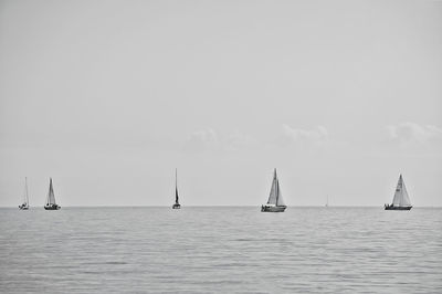 Sailboats sailing in sea against clear sky