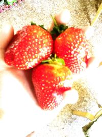 Close-up of strawberries