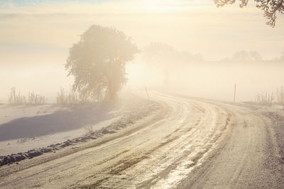 Winter road in misty landscape