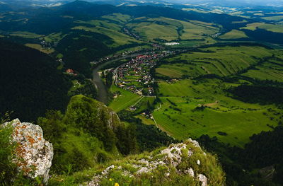 High angle view of trees on field