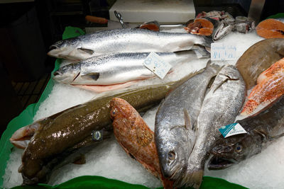 Close-up of fish for sale in market