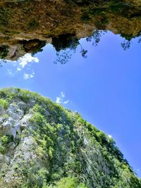 Scenic view of forest against blue sky