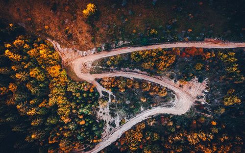 High angle view of road amidst trees during autumn