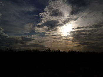 Low angle view of silhouette trees against sky at sunset