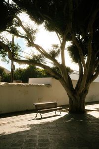 Empty bench in park
