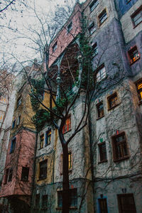 Low angle view of tree and buildings in town