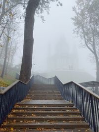 Staircase amidst trees during winter
