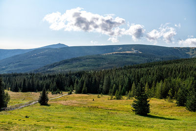 Scenic view of landscape against sky