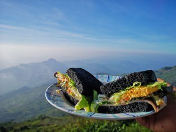 Cropped hand holding sandwich over mountains against sky