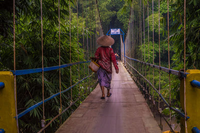 Rear view of man walking on footbridge in forest