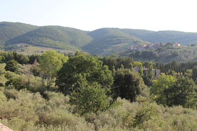 Scenic view of mountains