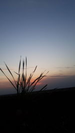 Silhouette plants on field against clear sky during sunset