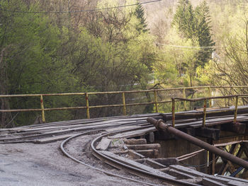 Railroad tracks by trees in forest