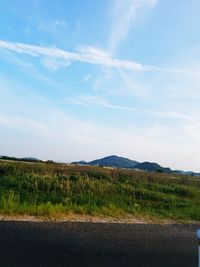 Scenic view of landscape against blue sky