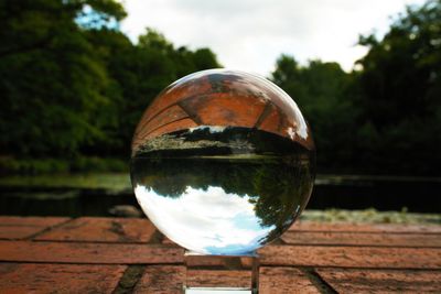 Close-up of crystal ball on landscape against trees