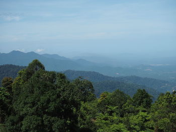 Scenic view of forest and mountains against sky