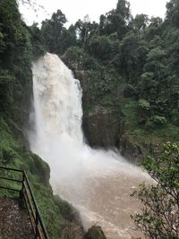 Scenic view of waterfall in forest