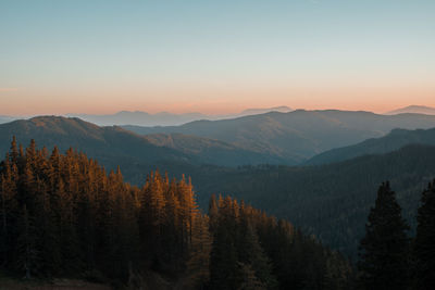 scenics - nature
