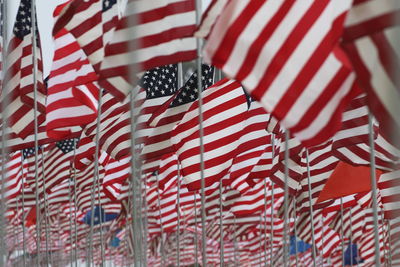 Close-up of flags